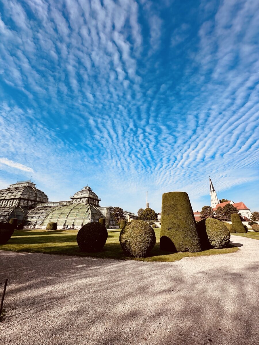 The Palm House and shaped hedges in Schönbrunn Palace gardens in Vienna, Austria